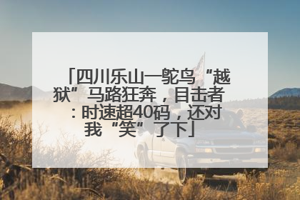 四川乐山一鸵鸟“越狱”马路狂奔，目击者：时速超40码，还对我“笑”了下