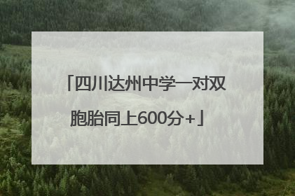四川达州中学一对双胞胎同上600分+