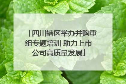 四川辖区举办并购重组专题培训 助力上市公司高质量发展