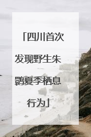 四川首次发现野生朱鹮夏季栖息行为
