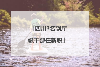 四川3名副厅级干部任新职