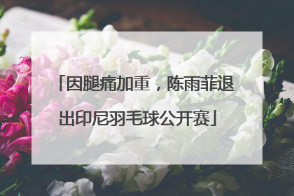 因腿痛加重，陈雨菲退出印尼羽毛球公开赛