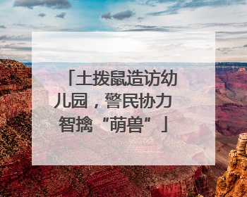土拨鼠造访幼儿园，警民协力智擒“萌兽”