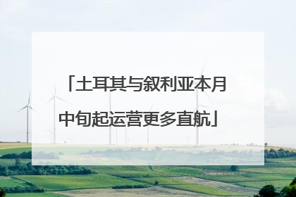 土耳其与叙利亚本月中旬起运营更多直航