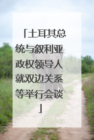土耳其总统与叙利亚政权领导人就双边关系等举行会谈