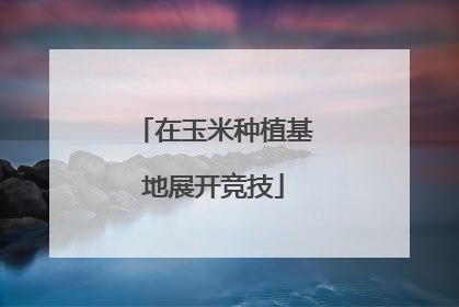 在玉米种植基地展开竞技