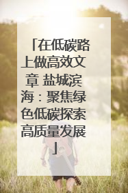 在低碳路上做高效文章 盐城滨海：聚焦绿色低碳探索高质量发展