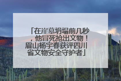 在崖墓坍塌前几秒，他冒死抢出文物！眉山杨宇春获评四川省文物安全守护者