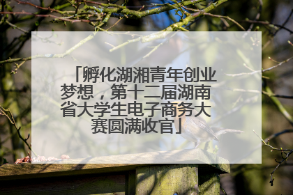 孵化湖湘青年创业梦想，第十二届湖南省大学生电子商务大赛圆满收官
