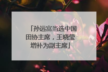 孙远富当选中国田协主席，王晓莹增补为副主席
