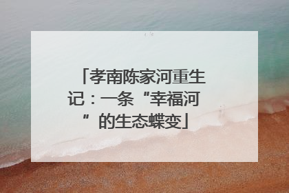 孝南陈家河重生记：一条“幸福河”的生态蝶变