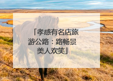 孝感有名店旅游公路：路畅景美人欢笑