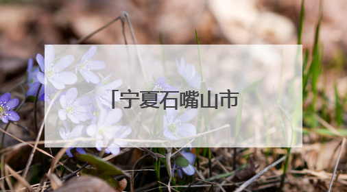 宁夏石嘴山市“石”百千万师带徒行动启动