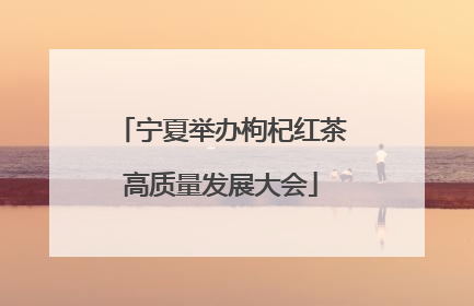 宁夏举办枸杞红茶高质量发展大会