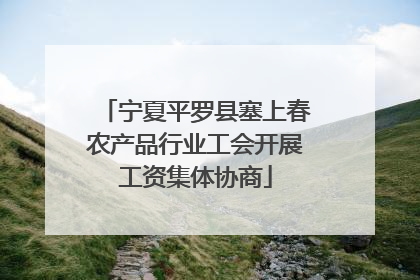 宁夏平罗县塞上春农产品行业工会开展工资集体协商