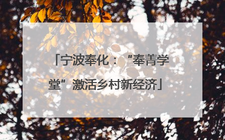 宁波奉化：“奉菁学堂”激活乡村新经济
