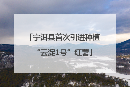 宁洱县首次引进种植“云淀1号”红薯