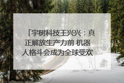 宇树科技王兴兴：真正解放生产力前 机器人格斗会成为全球受欢迎的赛事｜科技观察