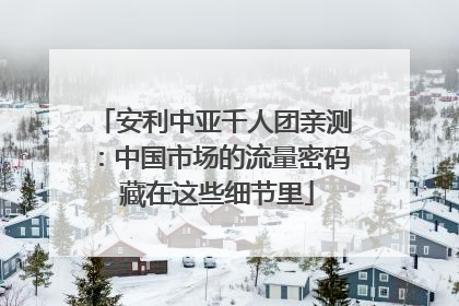 安利中亚千人团亲测：中国市场的流量密码 藏在这些细节里