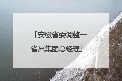 安徽省委调整一省属集团总经理