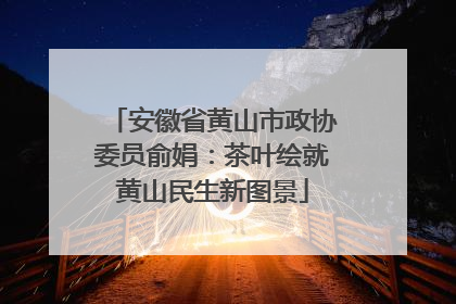 安徽省黄山市政协委员俞娟：茶叶绘就黄山民生新图景
