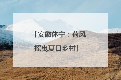 安徽休宁：荷风摇曳夏日乡村