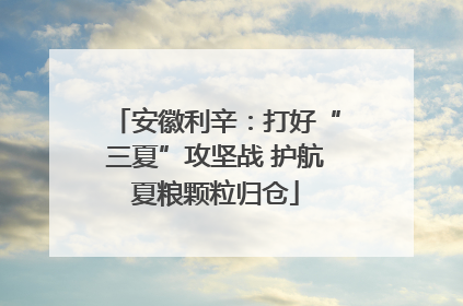 安徽利辛：打好“三夏”攻坚战 护航夏粮颗粒归仓