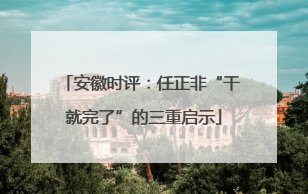 安徽时评：任正非“干就完了”的三重启示