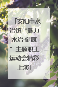 安阳市水冶镇“魅力水冶·健康”主题职工运动会精彩上演