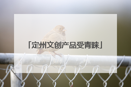 定州文创产品受青睐
