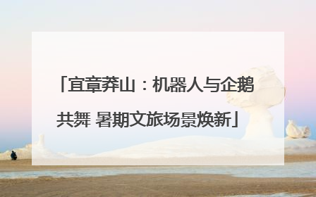 宜章莽山：机器人与企鹅共舞 暑期文旅场景焕新