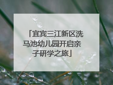 宜宾三江新区洗马池幼儿园开启亲子研学之旅