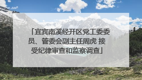 宜宾南溪经开区党工委委员、管委会副主任周虎 接受纪律审查和监察调查