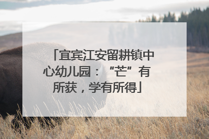 宜宾江安留耕镇中心幼儿园：“芒”有所获，学有所得