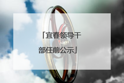 宜春领导干部任前公示