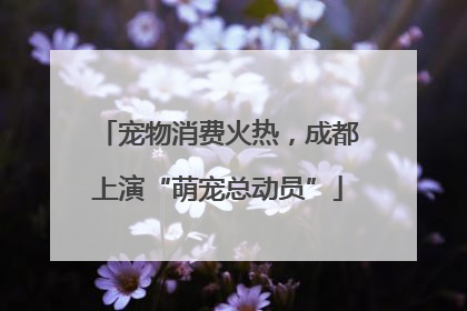 宠物消费火热，成都上演“萌宠总动员”
