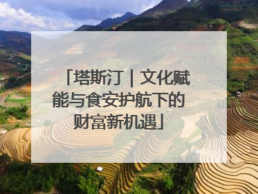 塔斯汀｜文化赋能与食安护航下的财富新机遇