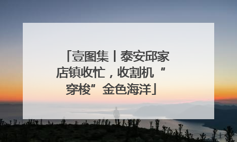 壹图集丨泰安邱家店镇收忙，收割机“穿梭”金色海洋