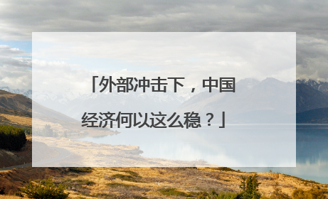 外部冲击下，中国经济何以这么稳？