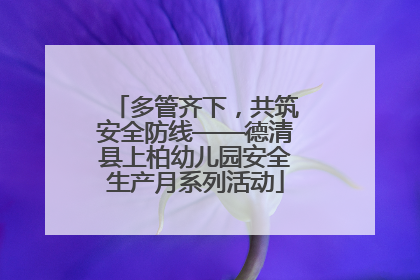 多管齐下，共筑安全防线——德清县上柏幼儿园安全生产月系列活动