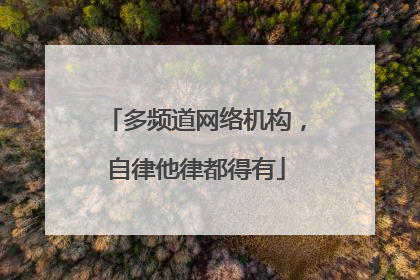 多频道网络机构，自律他律都得有