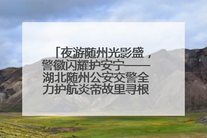 夜游随州光影盛，警徽闪耀护安宁——湖北随州公安交警全力护航炎帝故里寻根节夜游活动侧记