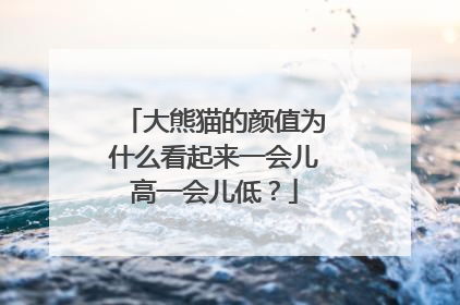 大熊猫的颜值为什么看起来一会儿高一会儿低？