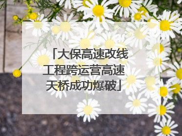 大保高速改线工程跨运营高速天桥成功爆破