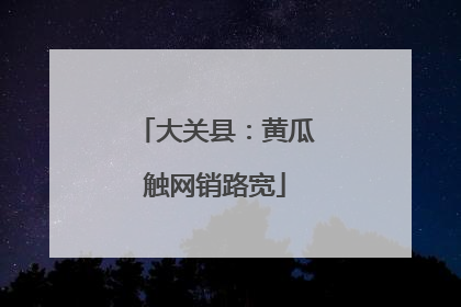 大关县：黄瓜触网销路宽