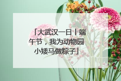 大武汉一日丨端午节，我为动物园小矮马做粽子