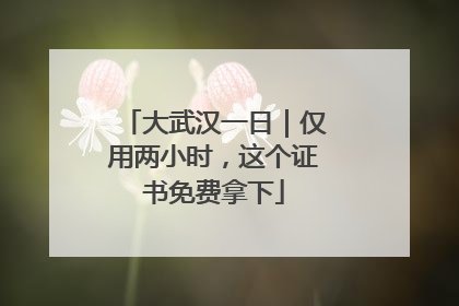大武汉一日｜仅用两小时，这个证书免费拿下