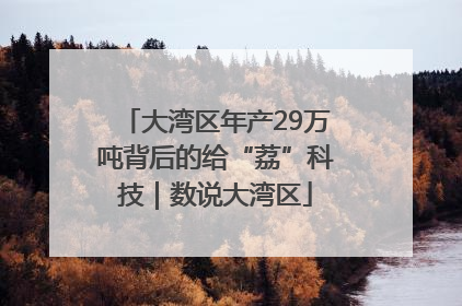 大湾区年产29万吨背后的给“荔”科技｜数说大湾区
