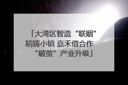 大湾区智造“联姻”精铸小镇 嘉禾借合作“破茧”产业升级