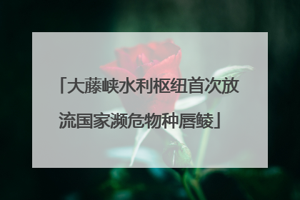 大藤峡水利枢纽首次放流国家濒危物种唇鲮